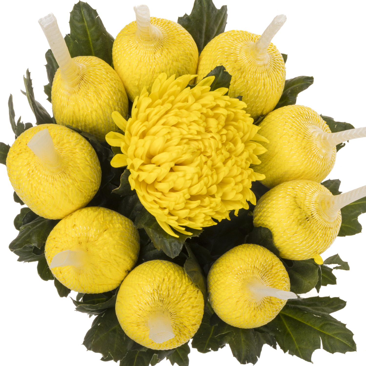 Chrys.Deko gelb Eldorado 95 Gramm 70cm