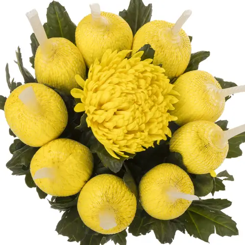 Chrys.Deko gelb Eldorado 95 Gramm 70cm