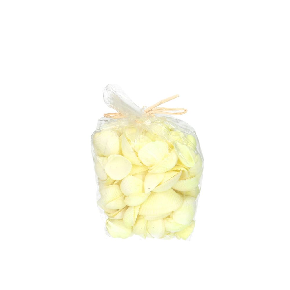 Muscheln Cockles Arca gelb 600gr