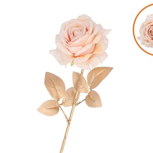 Seiden Rose Beauty gold/creme L75cm