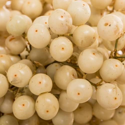 Pfeffer Berry gebleicht 175 Gramm