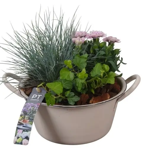 Garten.Arr PTSO8340 T19 H022