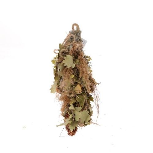 Trocken Pampas Eiche hängend L40cm