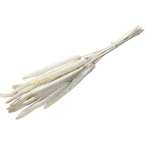 Trocken Babala weiss L70cm x15