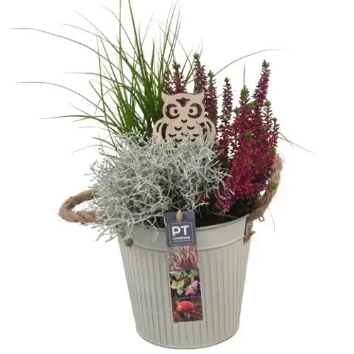Garten.Arr PTHO4098 T16 H039