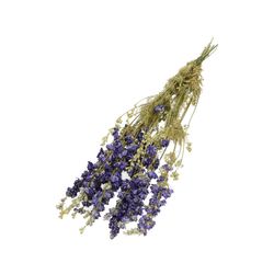 Trocken Delphinium blau L60cm