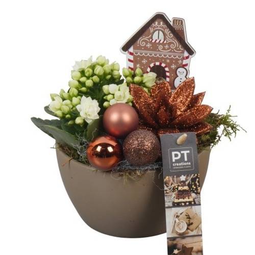 Kal.Arr PTCHB9723 Weihnachten T14 H020