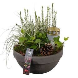 Garten.Arr PTAH8639 Allerheiligen T23 H032