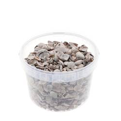 Muscheln Nordsee braun 3L 