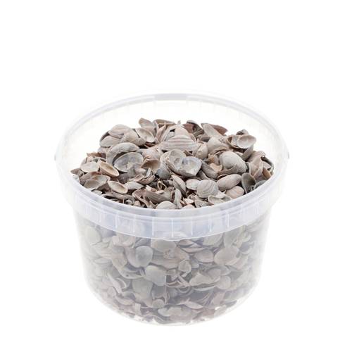 Muscheln Nordsee braun 3L 