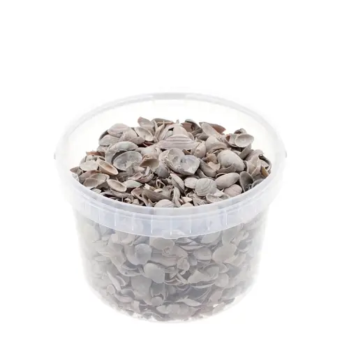 Muscheln Nordsee braun 3L 