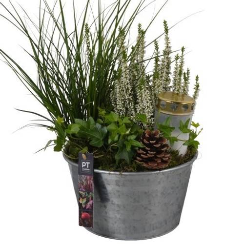 Garten.Arr PTAH8686 Allerheiligen T22 H046