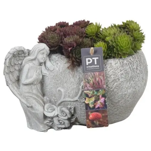 Garten.Arr PTAH8613 Allerheiligen T19 H018