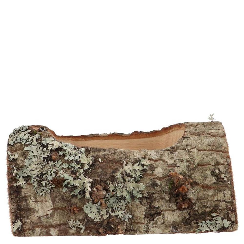 Eiche Übertopf 19x10x09cm