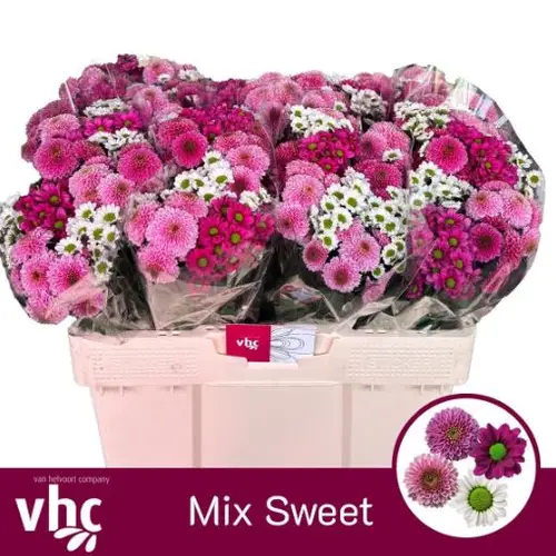 Santini mix Sweet x 10 1000 Gramm 55cm