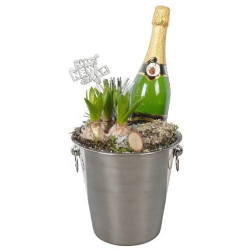 Hyac.Arr PTON7927 weisse Bl. Silvester T22 H046