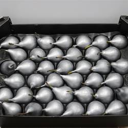 Birne silber Wachs D4cm