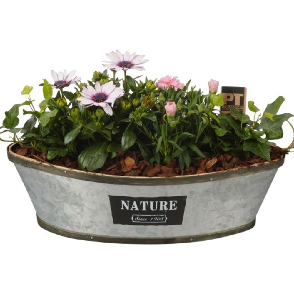 Garten Arr3830 T37 H23