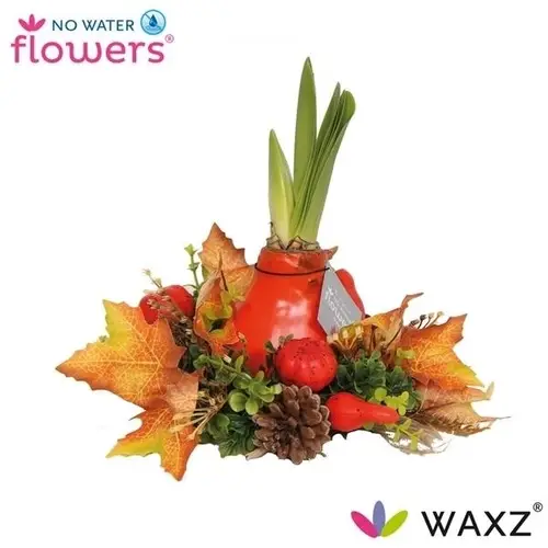 Amaryl.Arr Wachs Autumn Wreath Orange