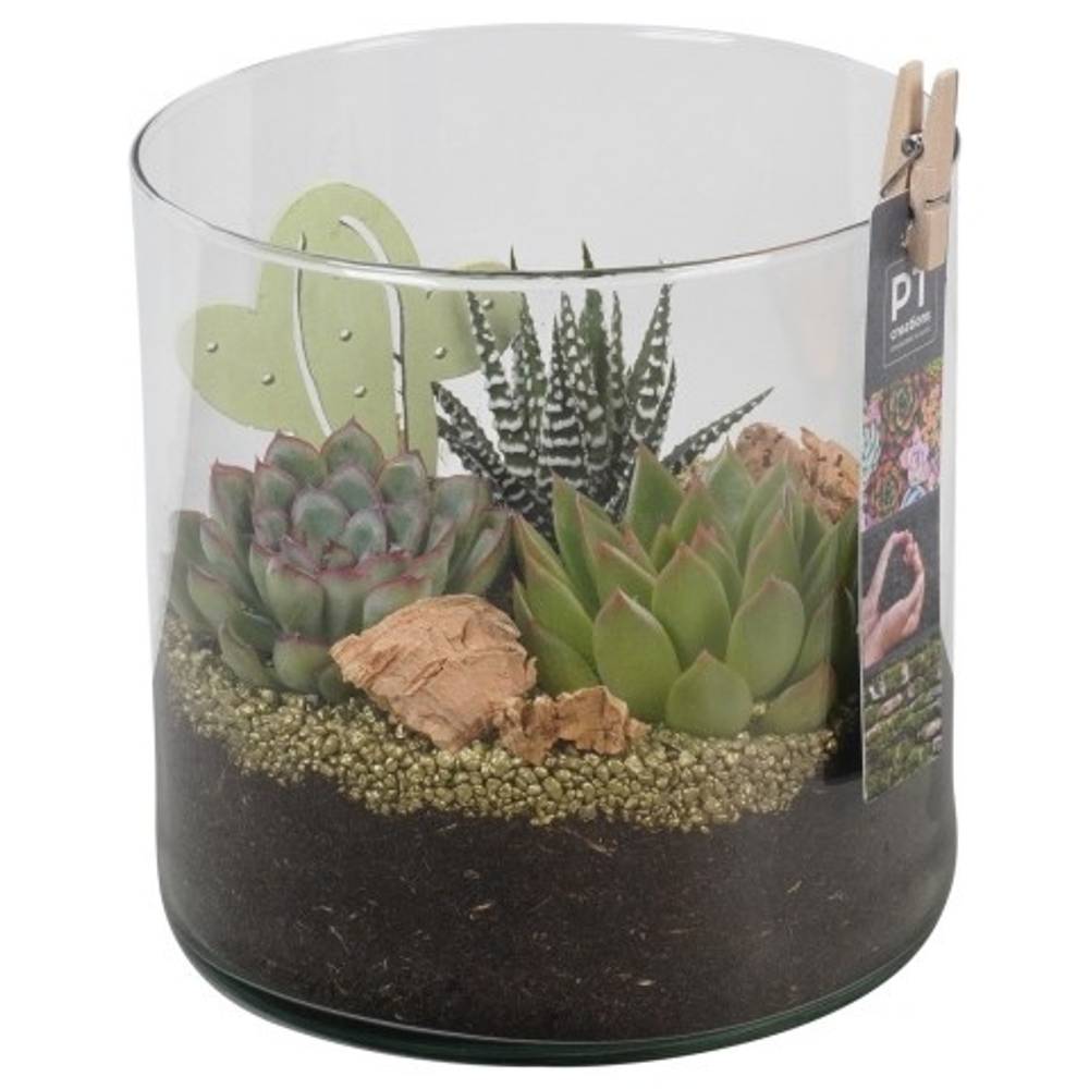 Succ.Arr PTSU8417 T15 H018