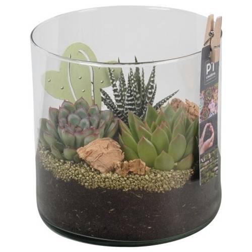 Succ.Arr PTSU8417 T15 H018