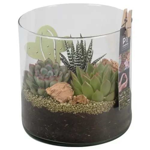 Succ.Arr PTSU8417 T15 H018