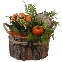 Kal.Arr PTHI3334 Herbst T17 H019