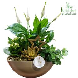 Spath.Arr SE005 Go Weihnachten T18 H040