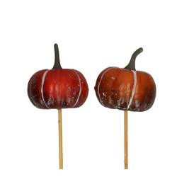 Kürbis/Stab dunkel orange D06cm l50cm