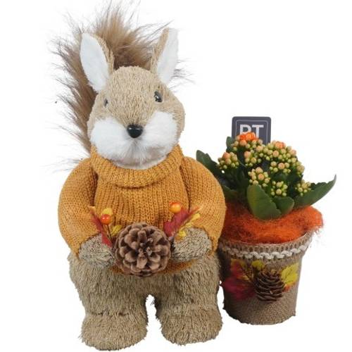 Kal.Arr PTHI5456 Herbst T22 H029