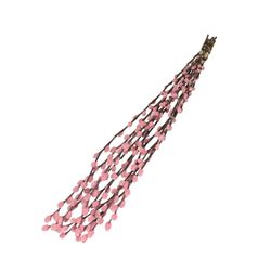 Trocken Zweig Weidenkätzchen hellrosa L70cm