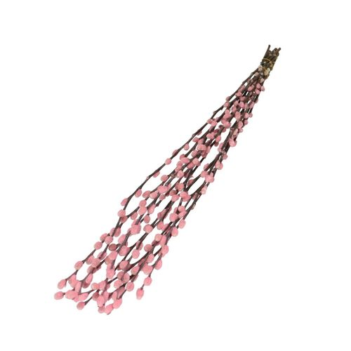 Trocken Zweig Weidenkätzchen hellrosa L70cm