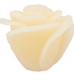 Kerze Rose Elfenbein 14x12cm