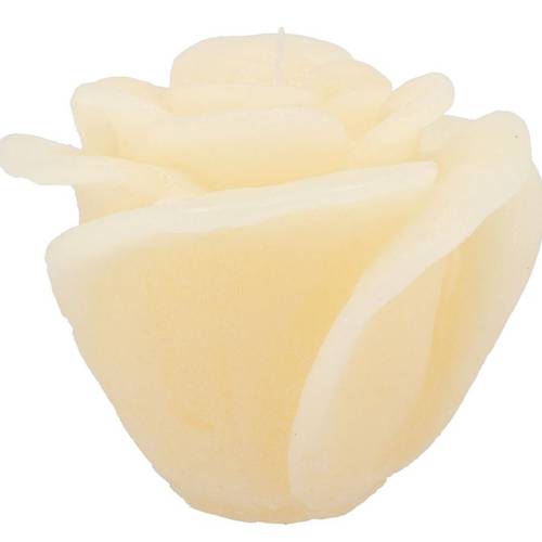 Kerze Rose Elfenbein 14x12cm