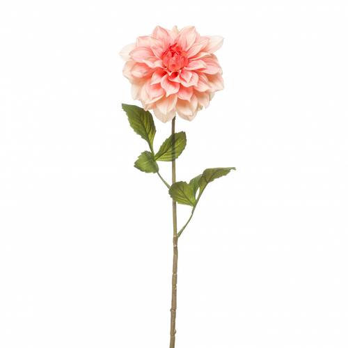 Seiden Dahlia lachs L72cm