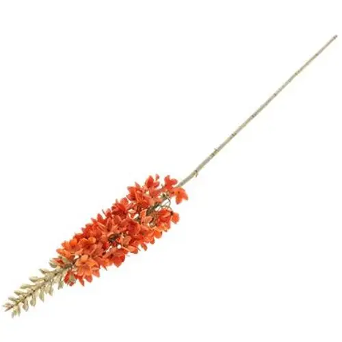 Seiden Flori Torch orange L88cm