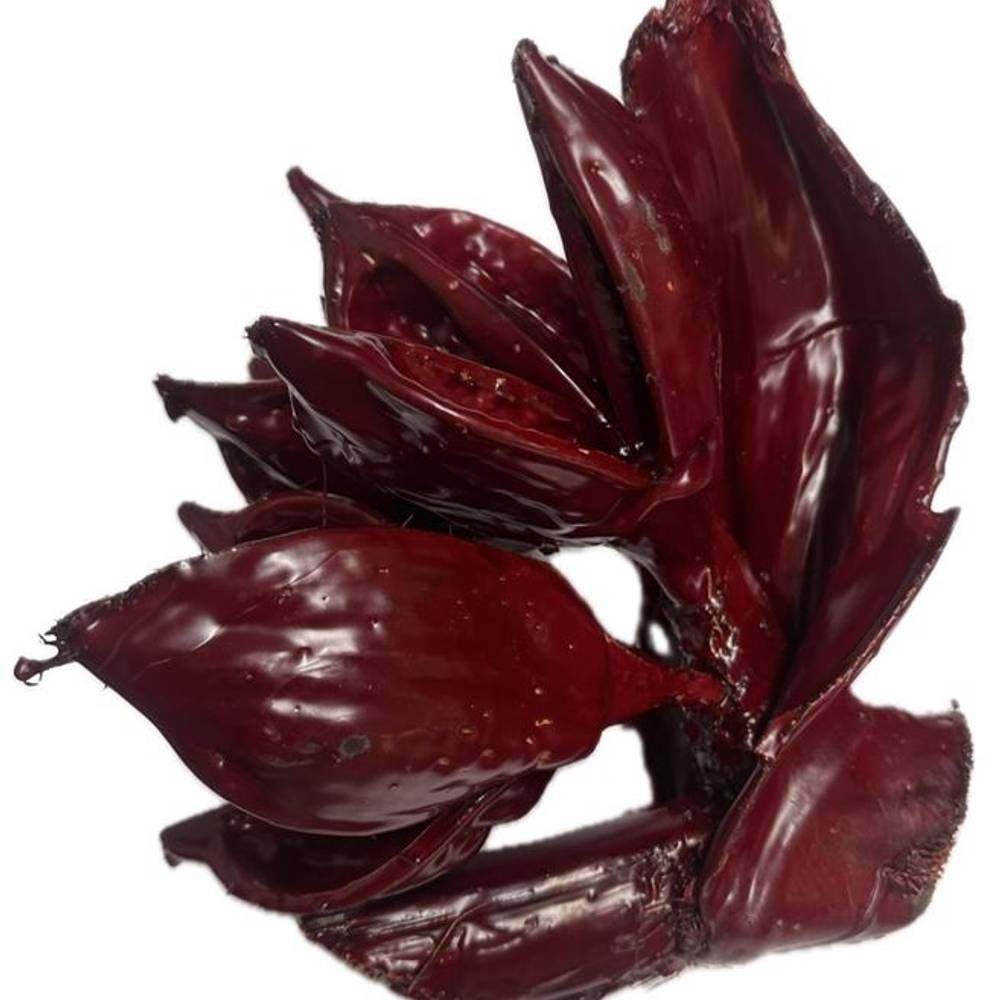 Seiden Wachs Meeresfrüchte weinrot