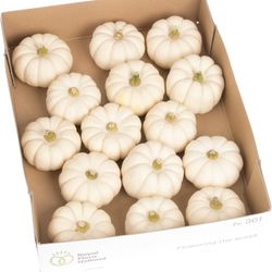 Zierk.weiss Baby Boo 8cm