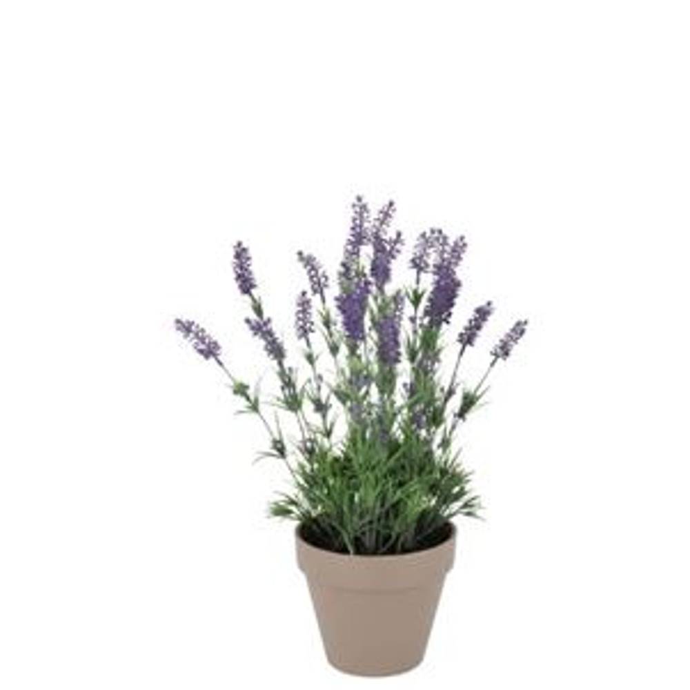 Seiden Lavendel lila im Übertopf D15cm H20cm