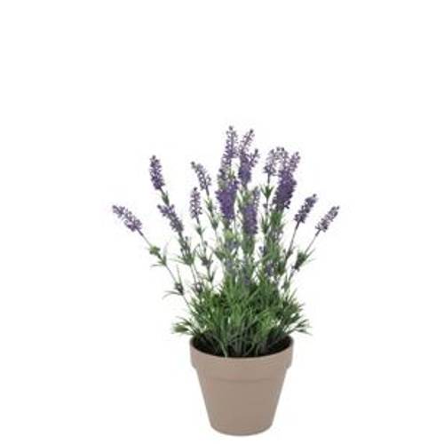 Seiden Lavendel lila im Übertopf D15cm H20cm