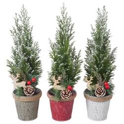 Chamaecyparis Ellwoodii mix Zink PTK25176 T09 H032