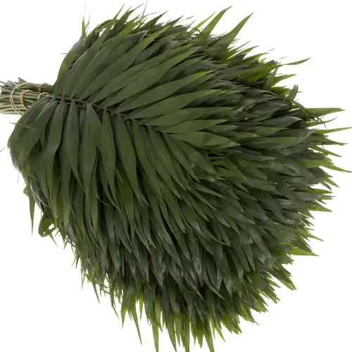 Chico Jumbo Buendel 50cm Valentinsangebot