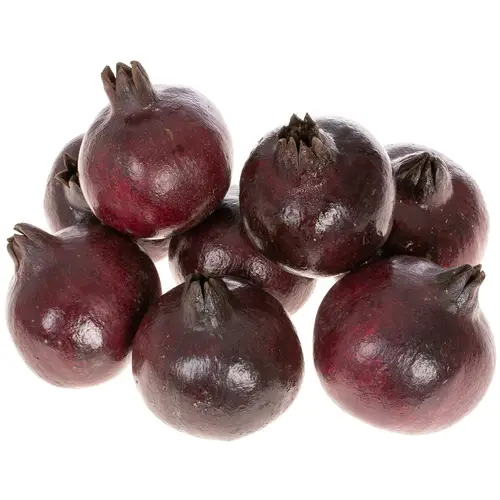 Äpfel Granat lila Im Schachtel