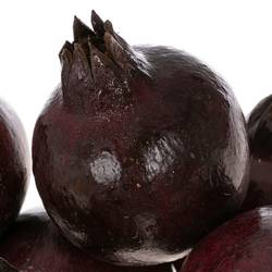 Äpfel Granat lila Im Schachtel