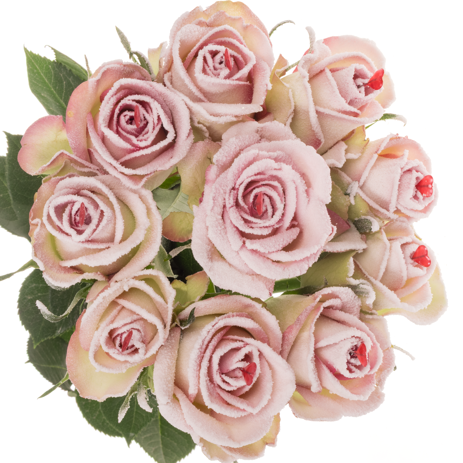 Rose Sugar Pink Love 70cm