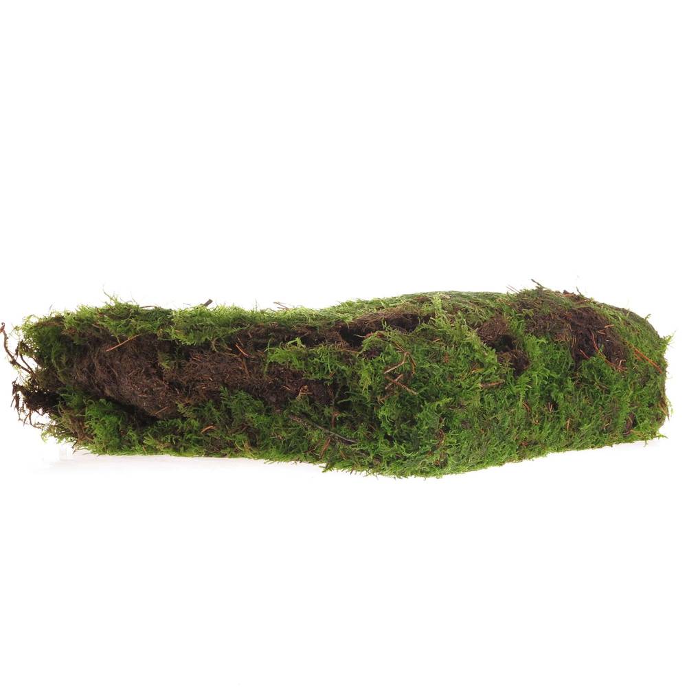 Plattenmoos dunkel grün in Tute ca 1.9m2