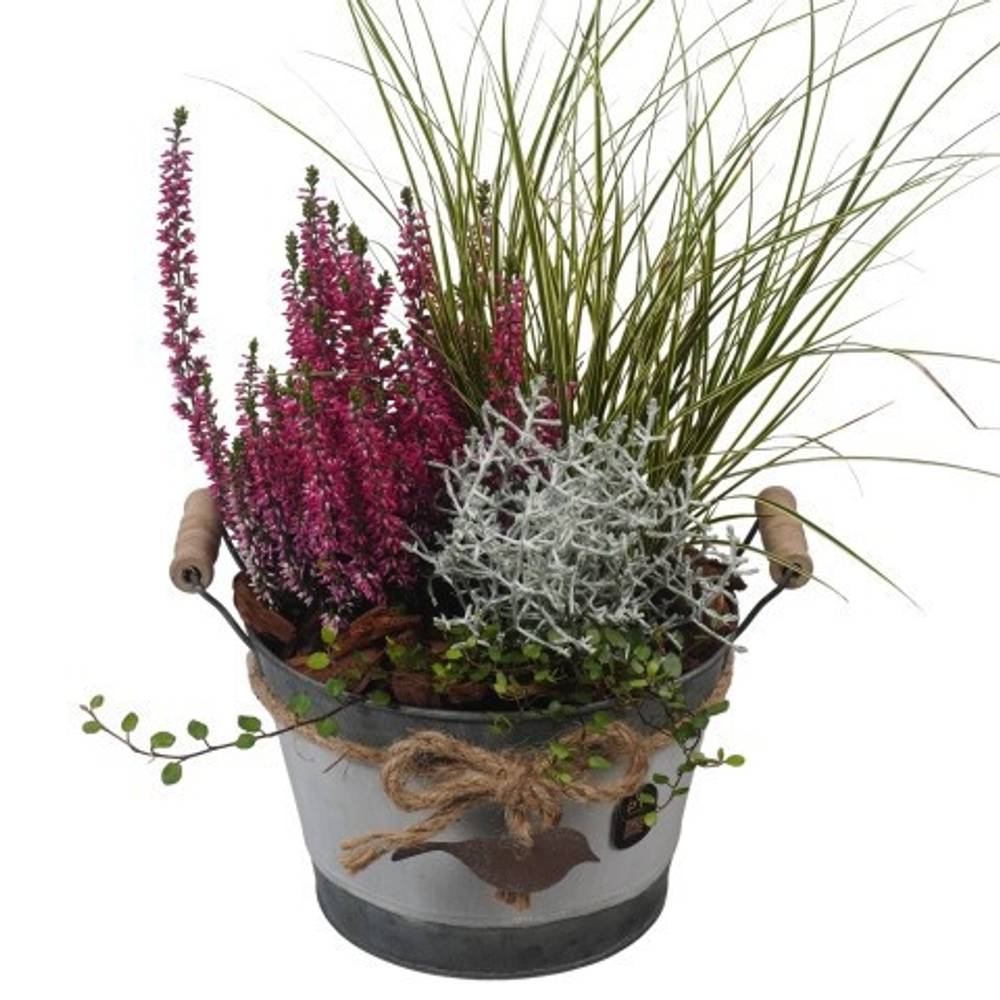 Garten.Arr PTHO7626 Herbst T20 H044