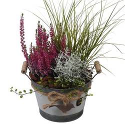 Garten.Arr PTHO7626 Herbst T20 H044