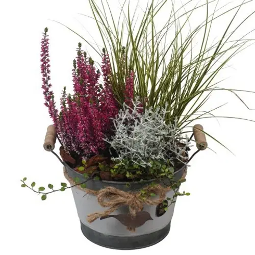 Garten.Arr PTHO7626 Herbst T20 H044