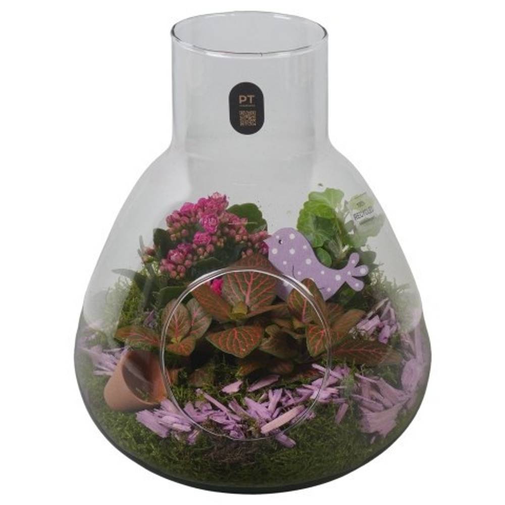 Kal.Arr PTIG2636 T22 H028